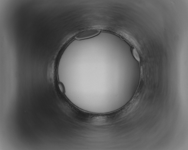 X0000102380156200808010921