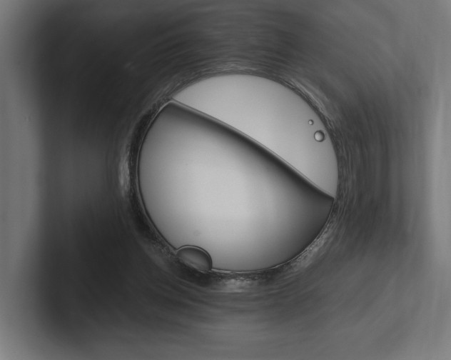 X0000102380158200808010921