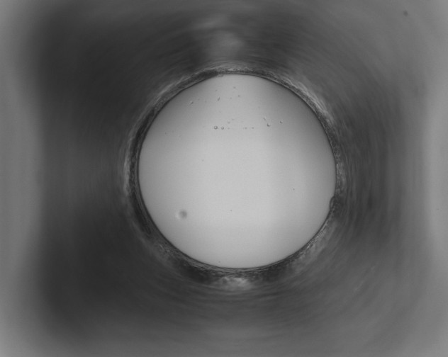 X0000102380159200808010921