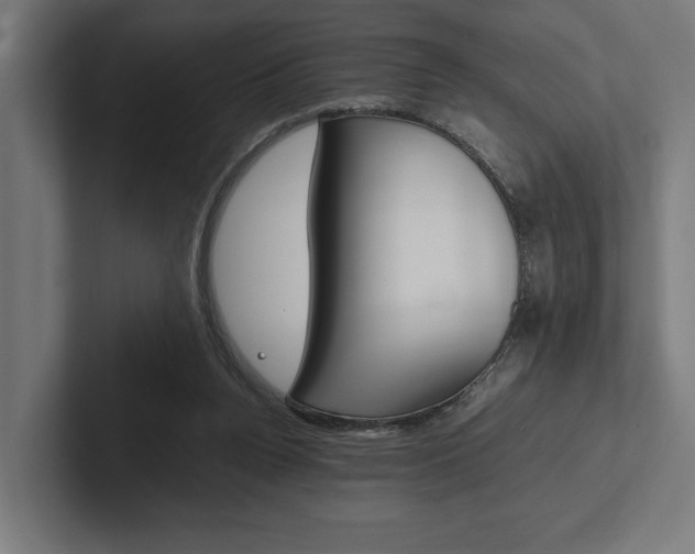 X0000102380160200808010921