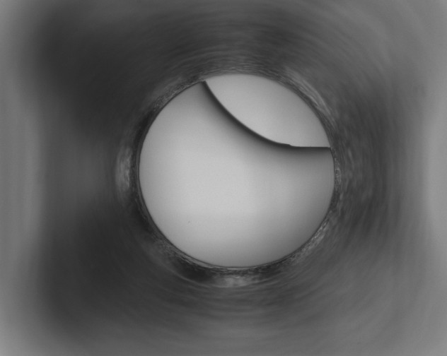 X0000102380163200808010921