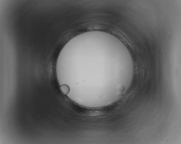 X0000102380169200808010921
