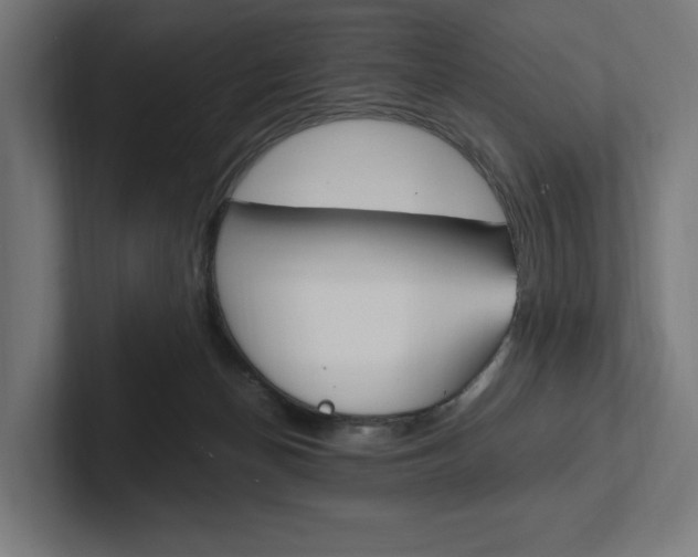 X0000102380174200808010921