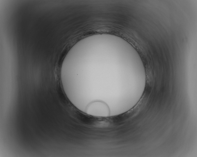 X0000102380175200808010921