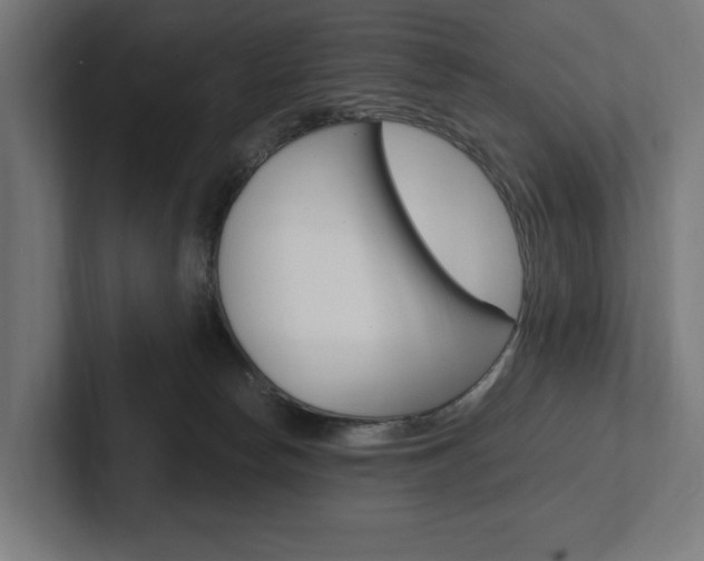 X0000102380178200808010921