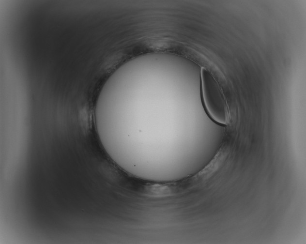 X0000102380180200808010921
