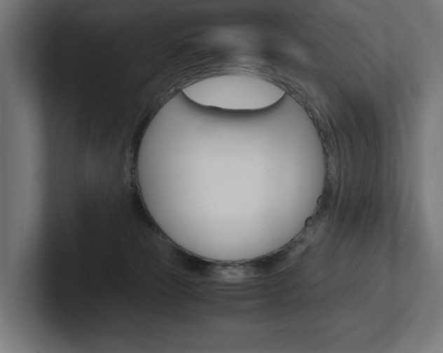 X0000102380181200808010921