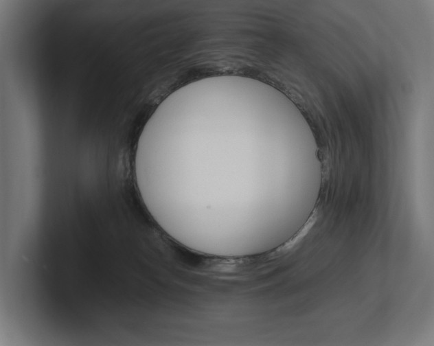 X0000102380182200808010921