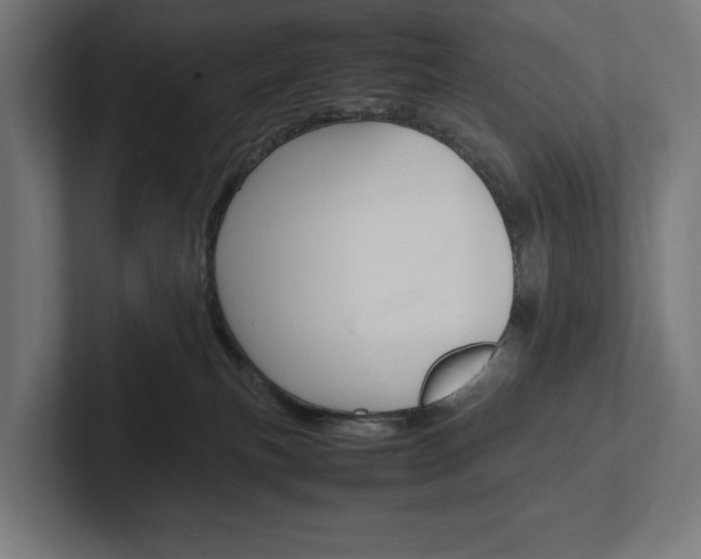 X0000102380183200808010921