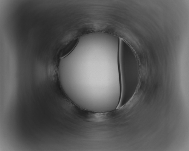 X0000102380184200808010921
