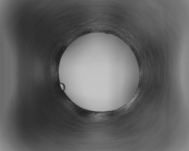 X0000102380186200808010921