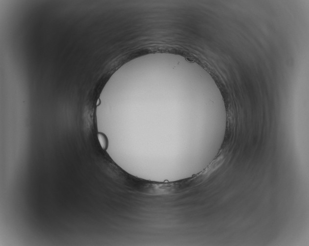 X0000102380188200808010922