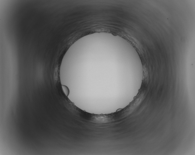 X0000102380189200808010922