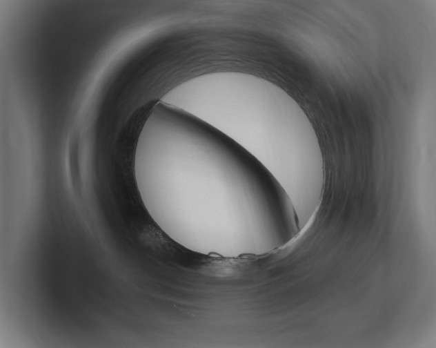 X0000102380190200808010922