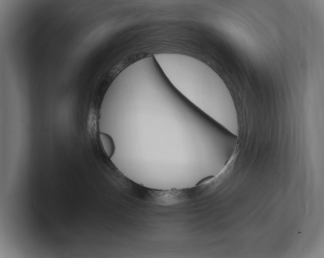 X0000102380191200808010922