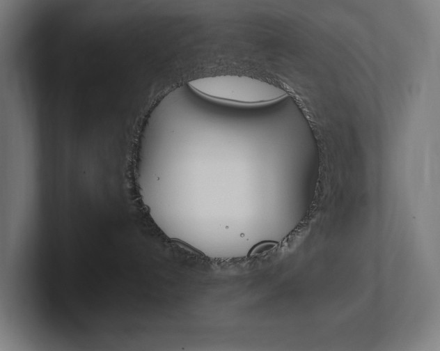 X0000102380192200808010922