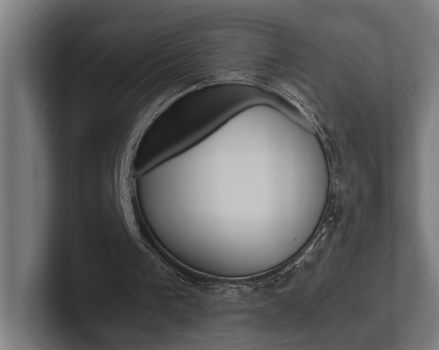X0000102380193200808010921