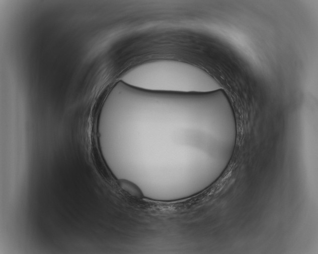 X0000102380194200808010921