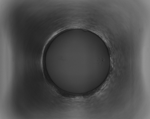 X0000102380196200808010921