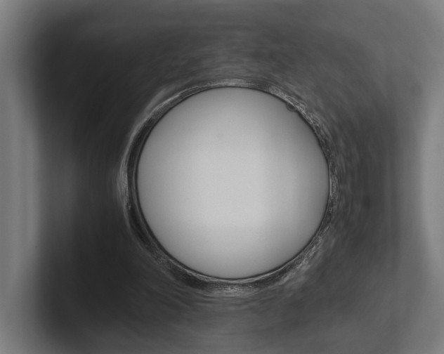 X0000102380198200808010921