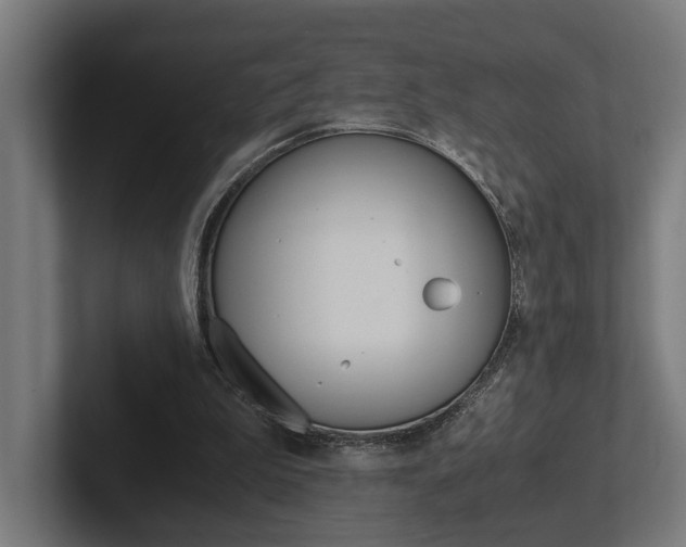 X0000102380199200808010921