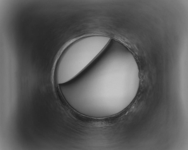 X0000102380200200808010921