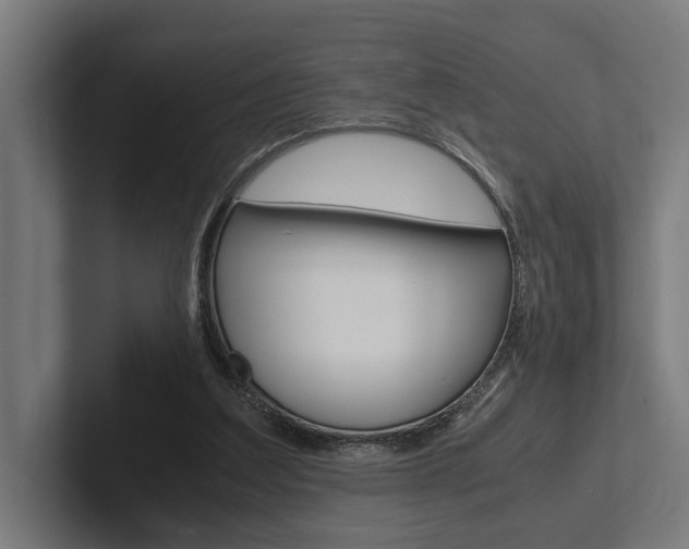 X0000102380203200808010921