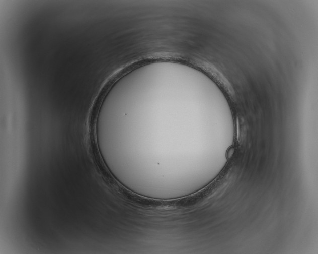 X0000102380204200808010921