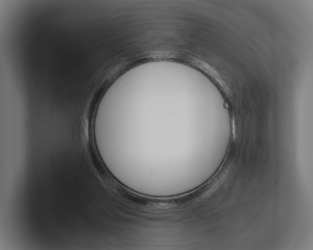 X0000102380205200808010921