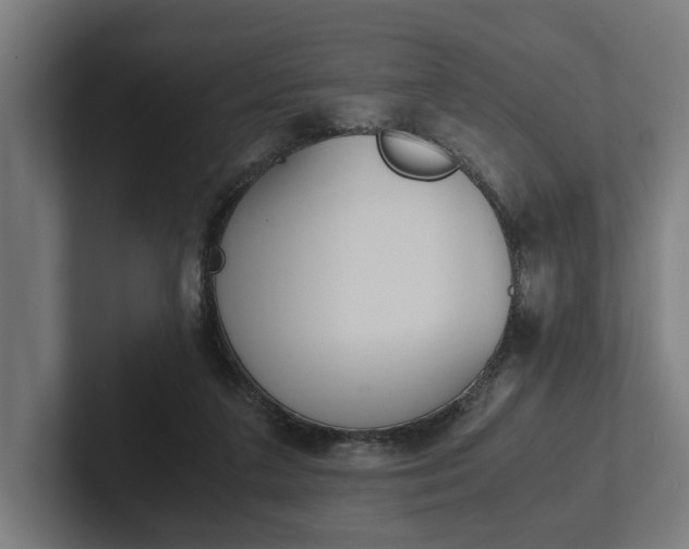 X0000102380211200808010921