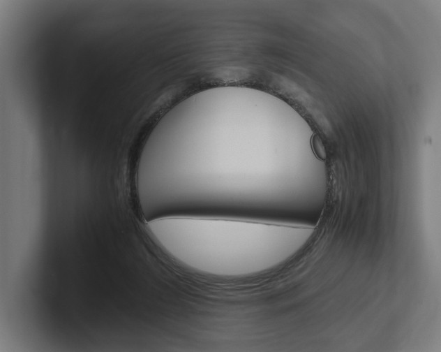 X0000102380212200808010921