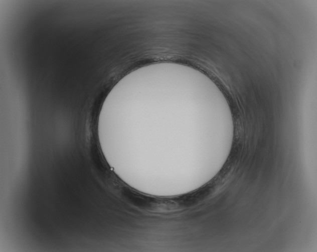 X0000102380215200808010921