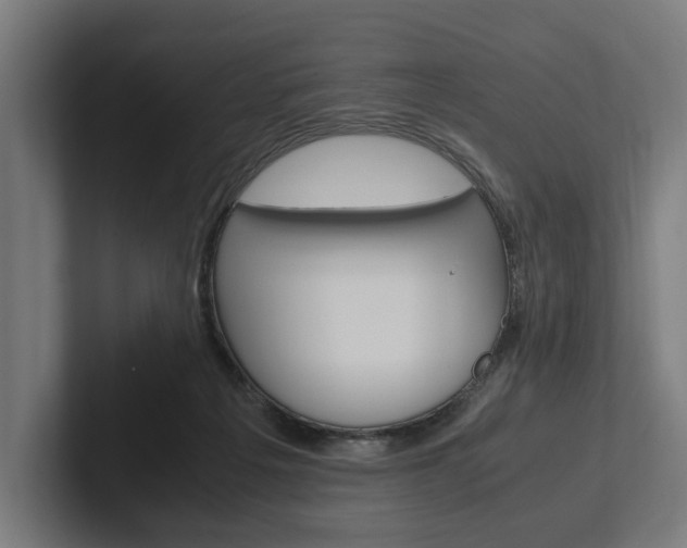 X0000102380217200808010921