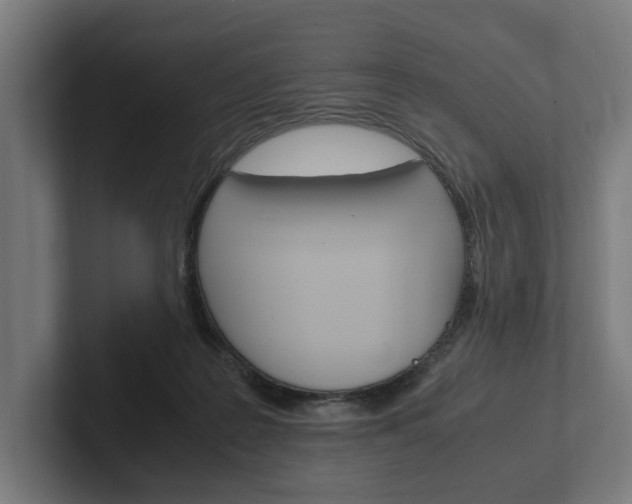 X0000102380219200808010921