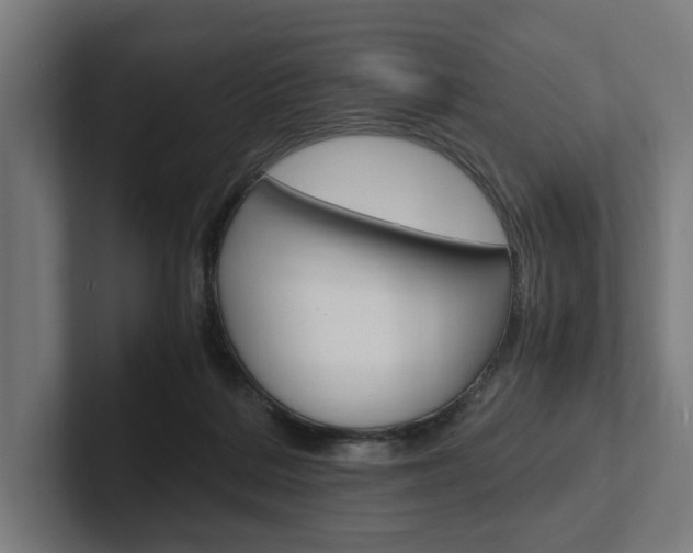 X0000102380220200808010921