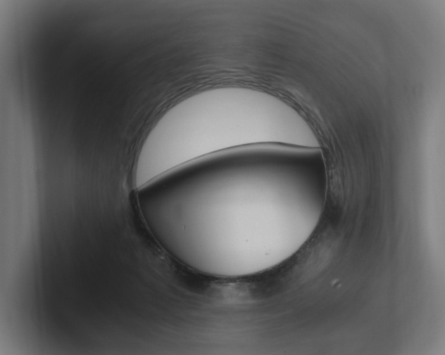 X0000102380221200808010921