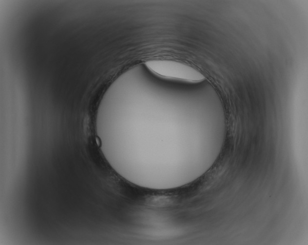 X0000102380224200808010921