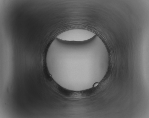 X0000102380227200808010920