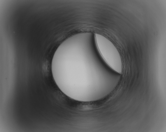 X0000102380228200808010920