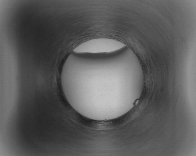 X0000102380229200808010920