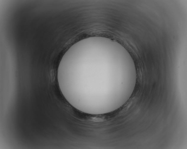 X0000102380232200808010920