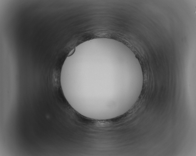X0000102380234200808010920