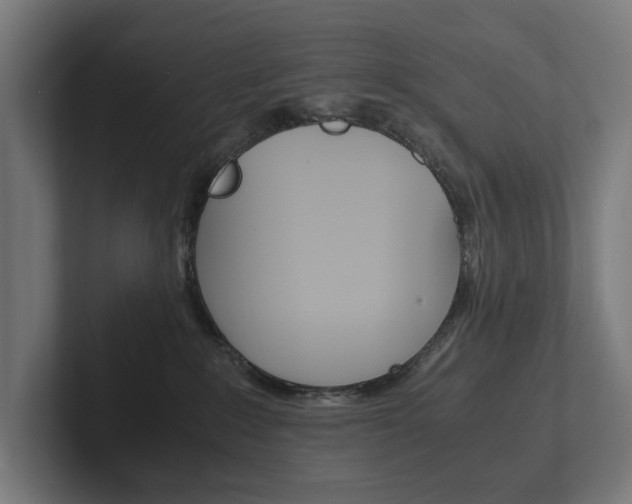 X0000102380235200808010920
