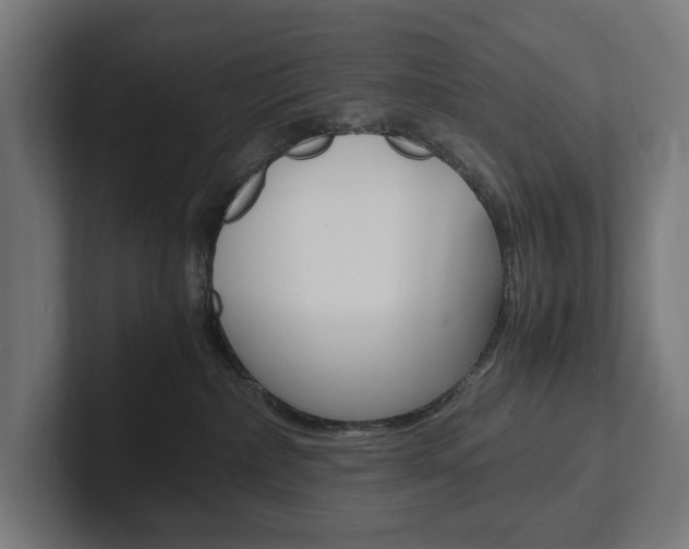 X0000102380236200808010920