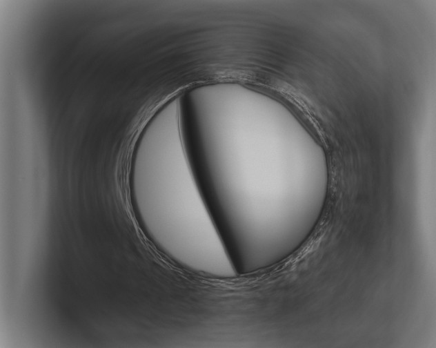 X0000102380241200808010920