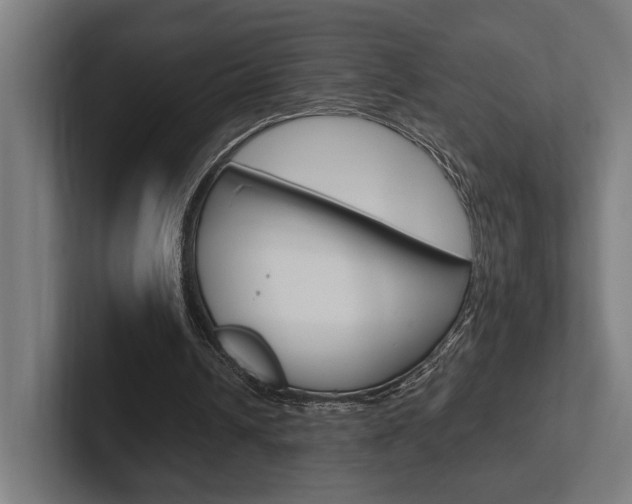 X0000102380242200808010920