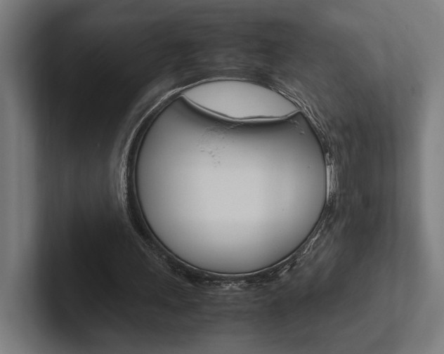 X0000102380243200808010920