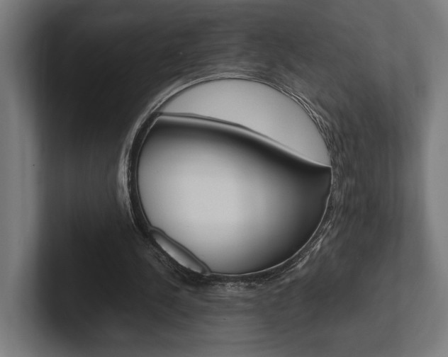 X0000102380244200808010920