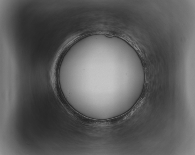 X0000102380245200808010920