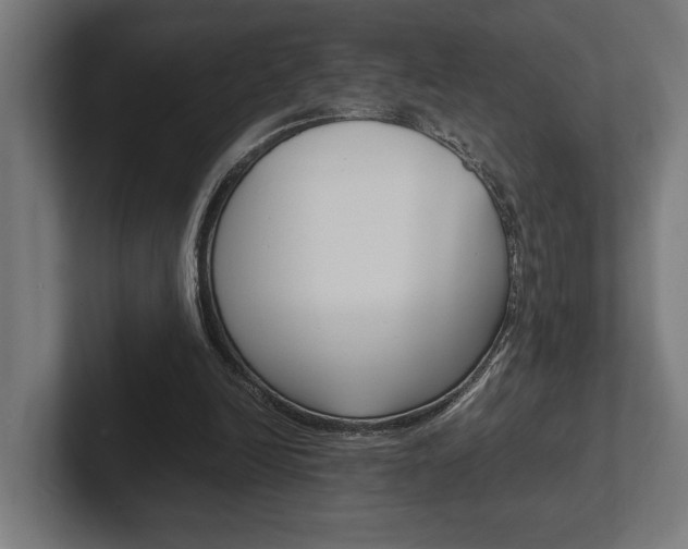 X0000102380246200808010920